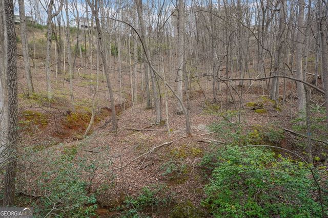 41A&42 Madeline Anthony Road, Dahlonega, GA 30533