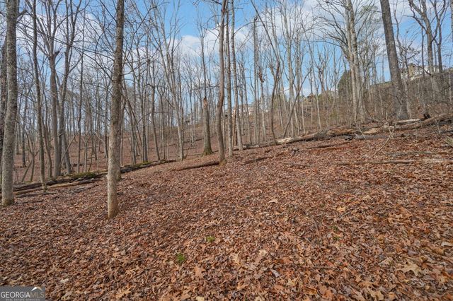 41A&42 Madeline Anthony Road, Dahlonega, GA 30533