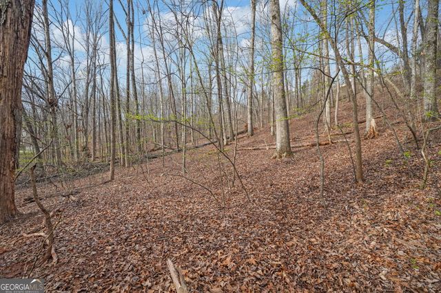 41A&42 Madeline Anthony Road, Dahlonega, GA 30533