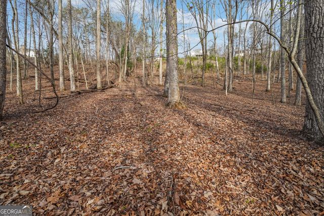 41A&42 Madeline Anthony Road, Dahlonega, GA 30533