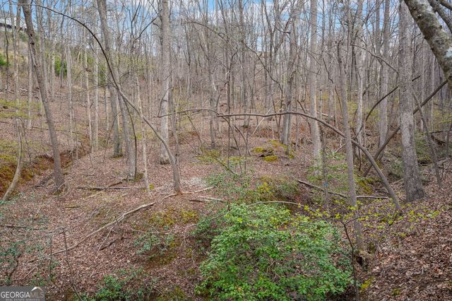 41A&42 Madeline Anthony Road, Dahlonega, GA 30533