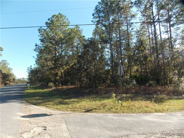 9432 N Cherry Lake Drive, Citrus Springs, FL 34433