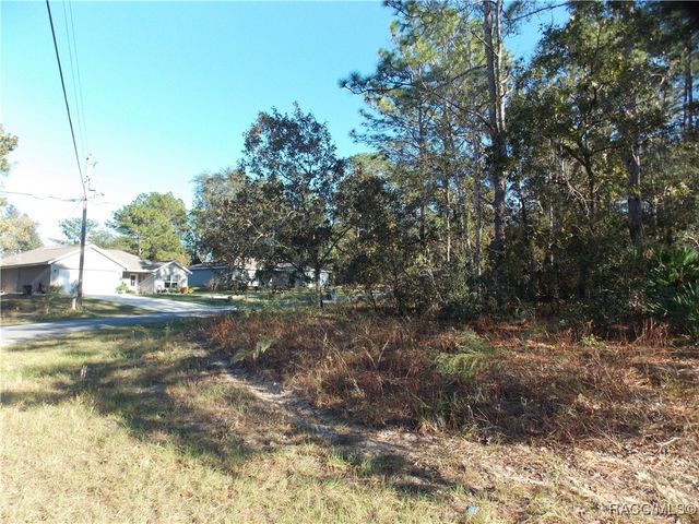 9432 N Cherry Lake Drive, Citrus Springs, FL 34433