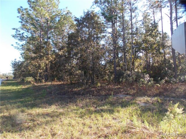 9432 N Cherry Lake Drive, Citrus Springs, FL 34433