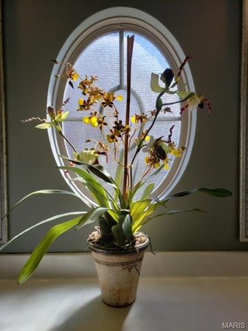 1515 New Brunswick Drive, Waterloo, IL 62298