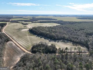 0 Watson Road LOT#WP001, Vienna, GA 31092