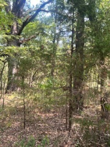 TBD County Road 1180, Cooper, TX 75432