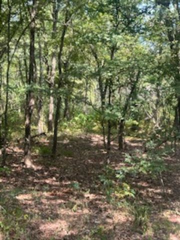 TBD County Road 1180, Cooper, TX 75432