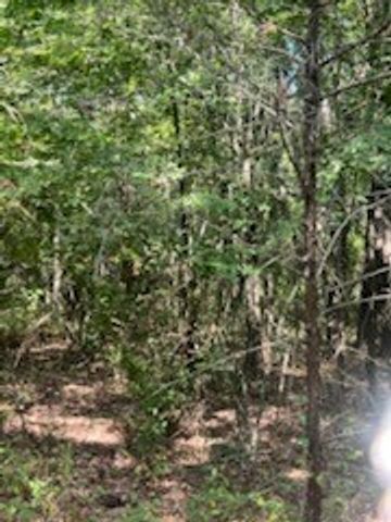 TBD County Road 1180, Cooper, TX 75432