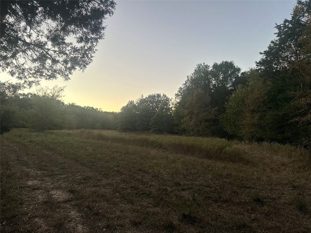 TBD County Road 1180, Cooper, TX 75432