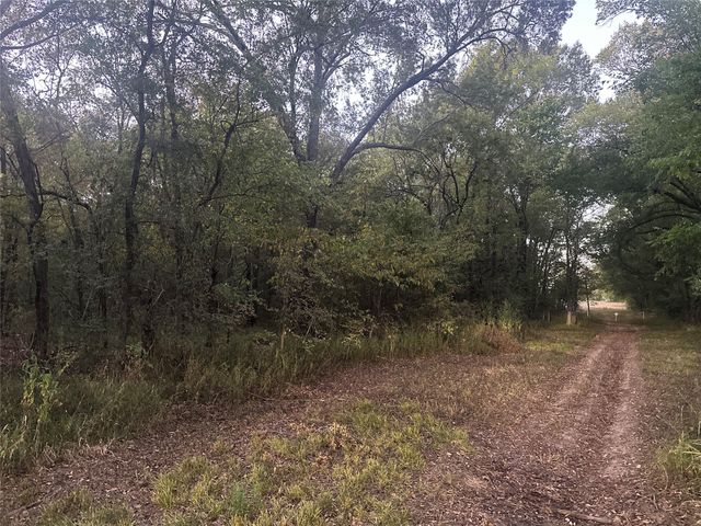 TBD County Road 1180, Cooper, TX 75432