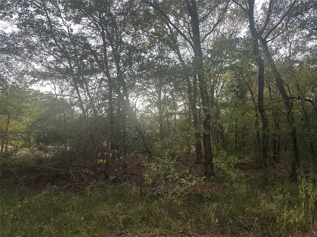 TBD County Road 1180, Cooper, TX 75432