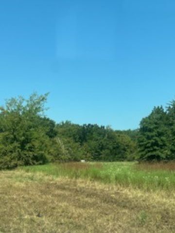 TBD County Road 1180, Cooper, TX 75432