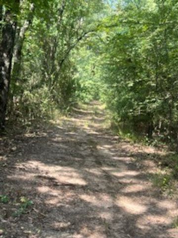 TBD County Road 1180, Cooper, TX 75432