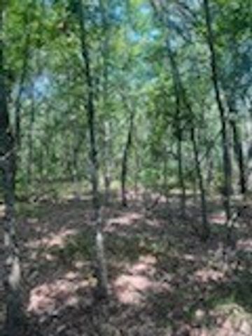 TBD County Road 1180, Cooper, TX 75432