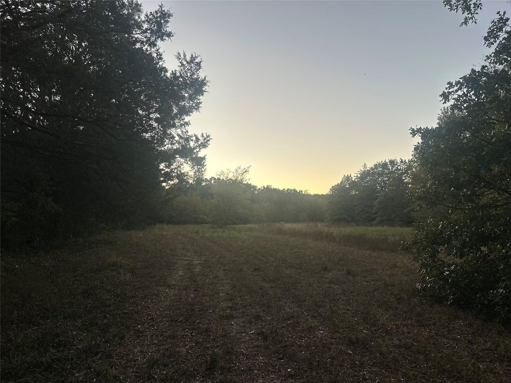 TBD County Road 1180, Cooper, TX 75432