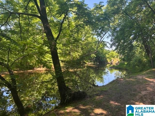 6948 HAPPY HOLLOW ROAD, Trussville, AL 35173