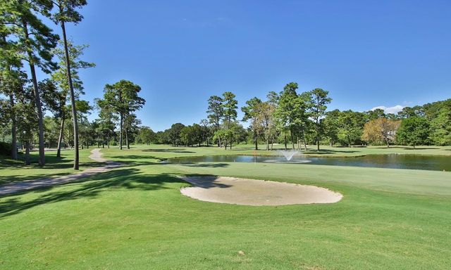 15703 Winding Moss Drive, Houston, TX 77068