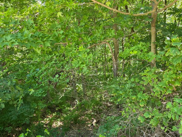 Lot 15 Legion Rd Road, Yorkville, IL 60560