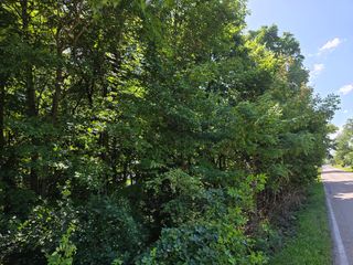 Lot 15 Legion Rd Road, Yorkville, IL 60560