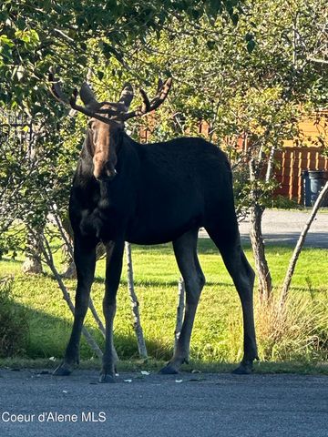 3 Elsie Peak Court, 3 3, Pinehurst, ID 83850