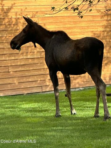 3 Elsie Peak Court, 3 3, Pinehurst, ID 83850