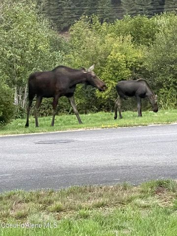 3 Elsie Peak Court, 3 3, Pinehurst, ID 83850