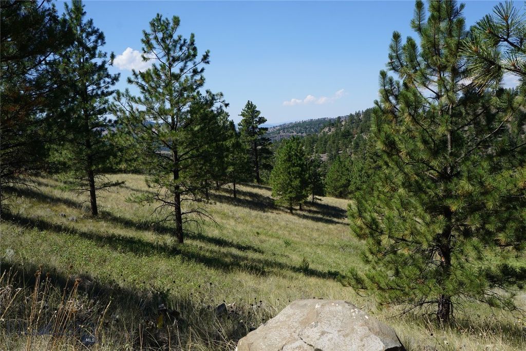 TBD Ridge Crest Lane, Cascade, MT 59421 photo 10