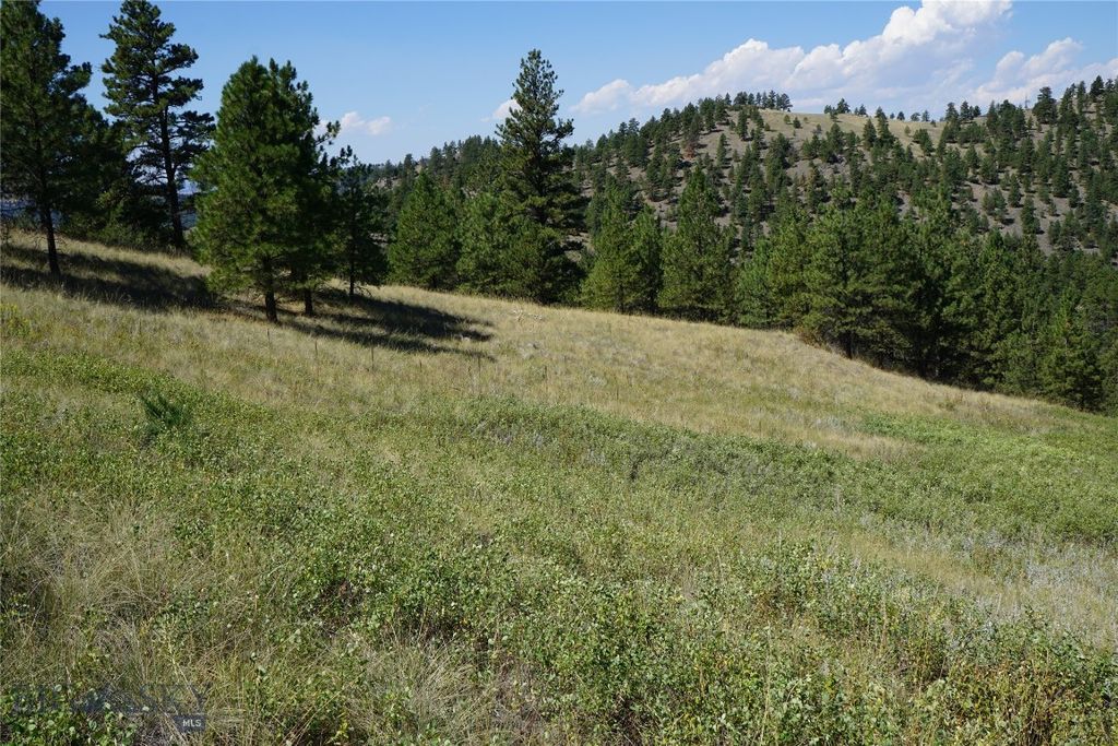 TBD Ridge Crest Lane, Cascade, MT 59421 photo 11