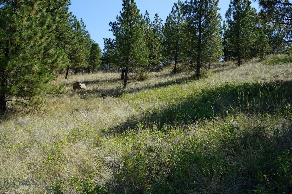 TBD Ridge Crest Lane, Cascade, MT 59421 photo 12