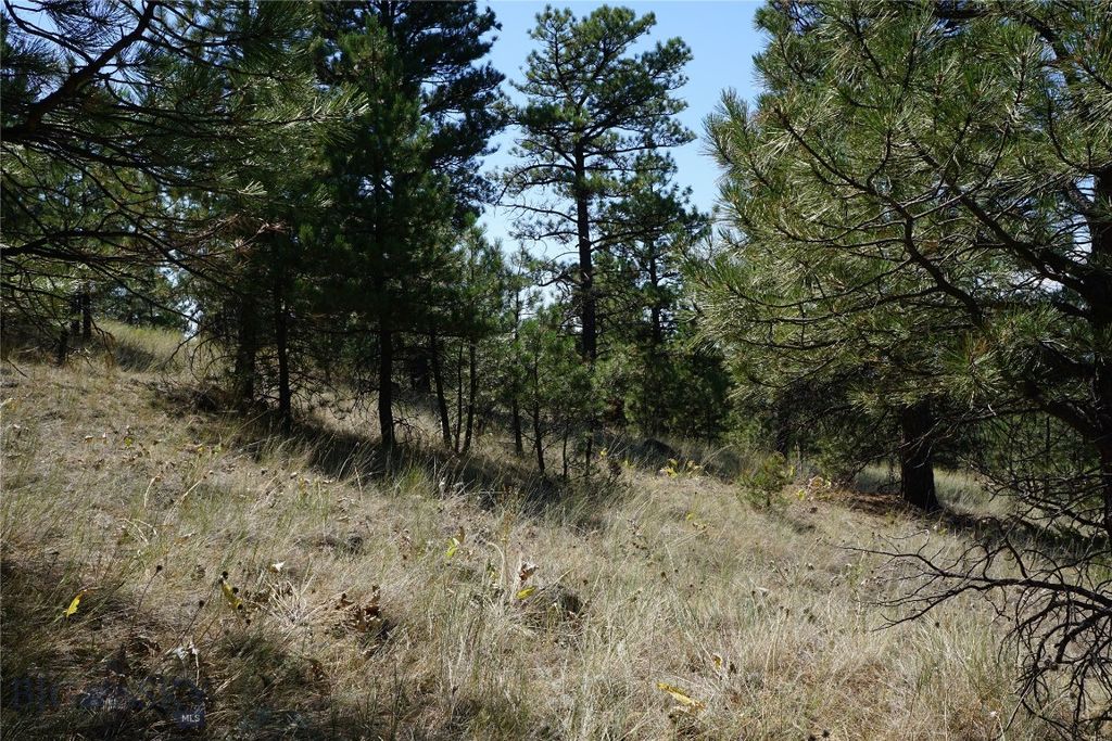 TBD Ridge Crest Lane, Cascade, MT 59421 photo 13