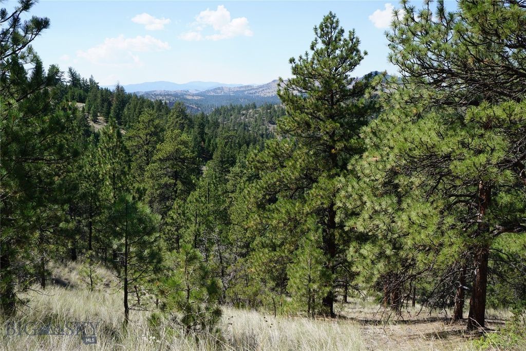 TBD Ridge Crest Lane, Cascade, MT 59421 photo 14