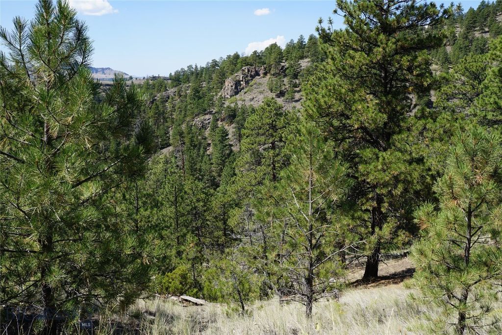 TBD Ridge Crest Lane, Cascade, MT 59421 photo 15