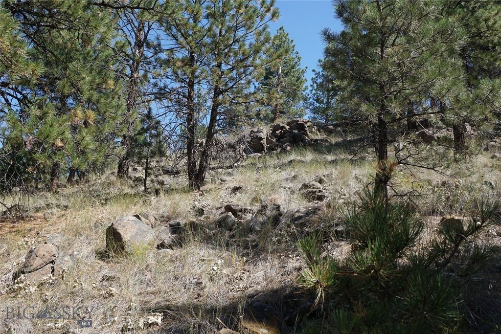 TBD Ridge Crest Lane, Cascade, MT 59421 photo 17