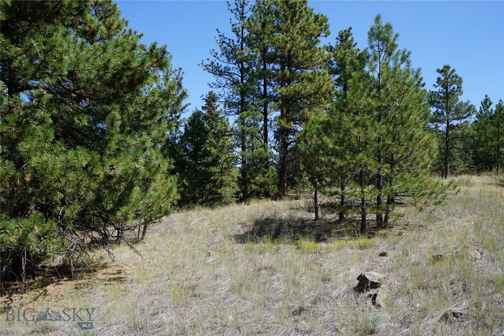 TBD Ridge Crest Lane, Cascade, MT 59421 photo 2