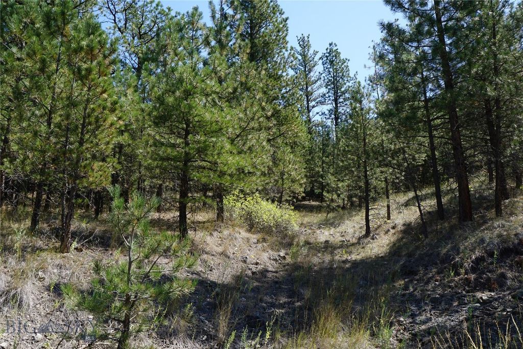 TBD Ridge Crest Lane, Cascade, MT 59421 photo 22