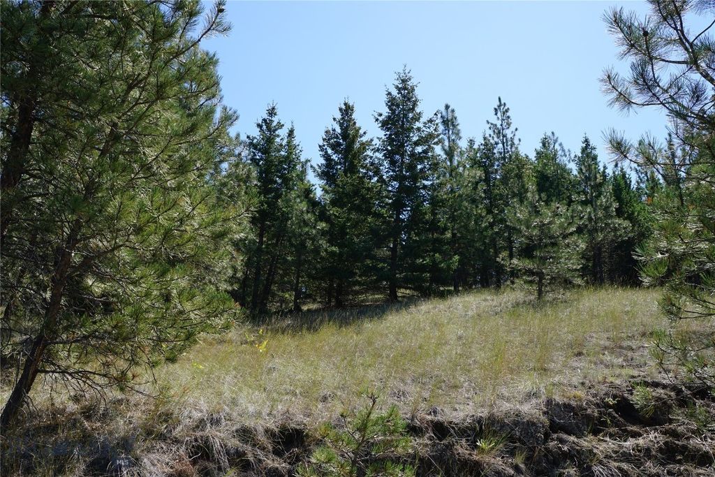 TBD Ridge Crest Lane, Cascade, MT 59421 photo 23
