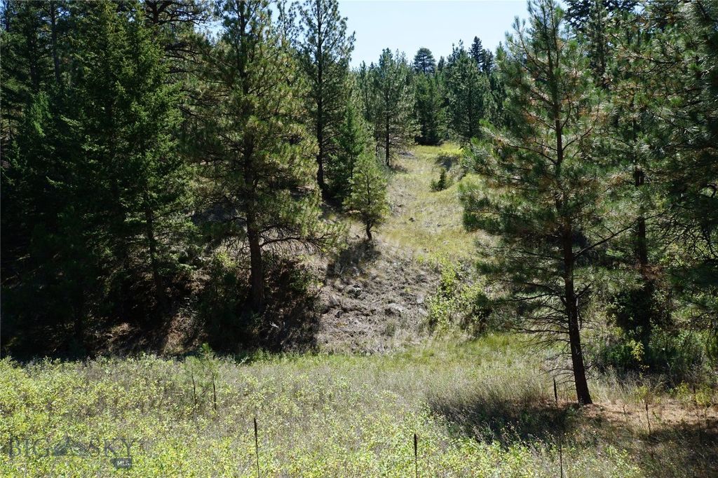 TBD Ridge Crest Lane, Cascade, MT 59421 photo 24