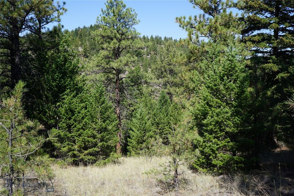TBD Ridge Crest Lane, Cascade, MT 59421 photo 3