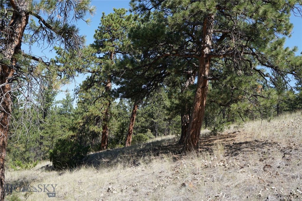 TBD Ridge Crest Lane, Cascade, MT 59421 photo 6