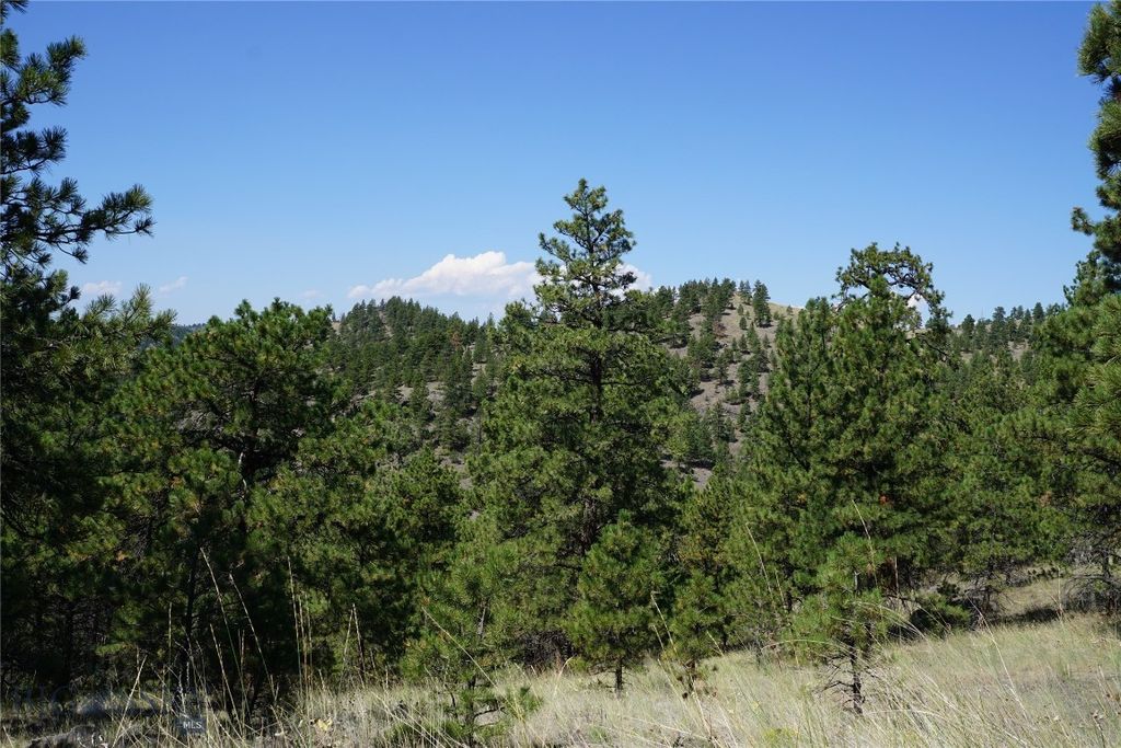 TBD Ridge Crest Lane, Cascade, MT 59421 photo 7