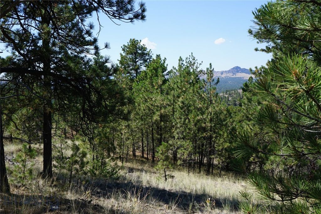 TBD Ridge Crest Lane, Cascade, MT 59421 photo 8