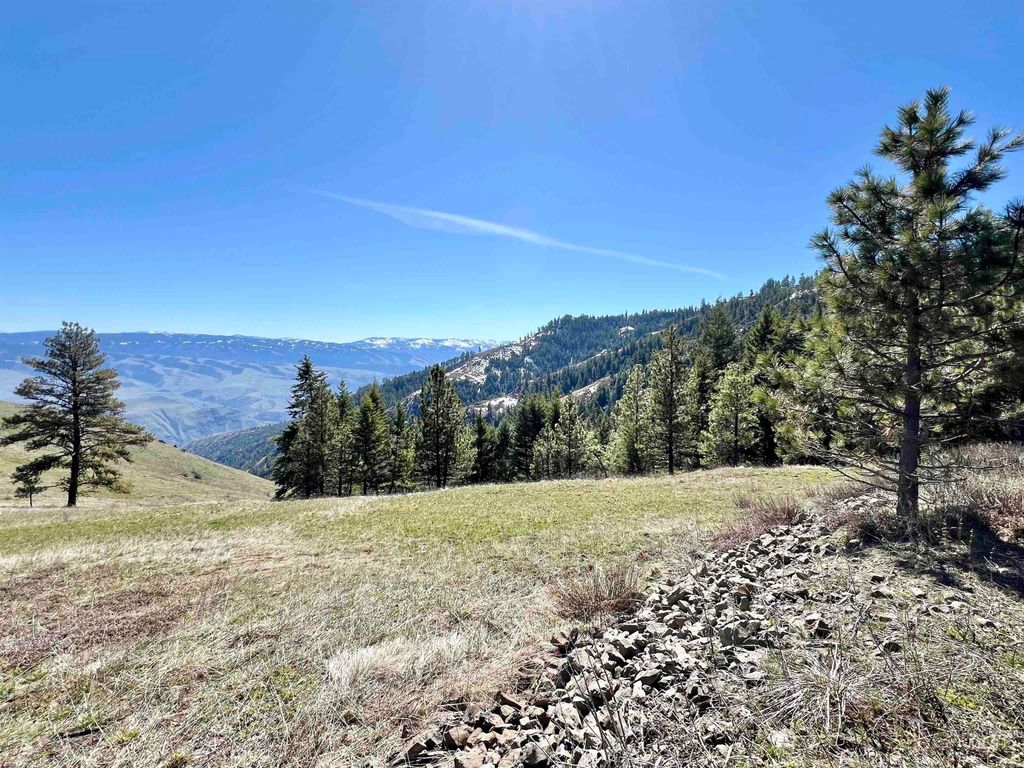 TBD Lot 50 Twin River Ranch Iii, White Bird, ID 83554