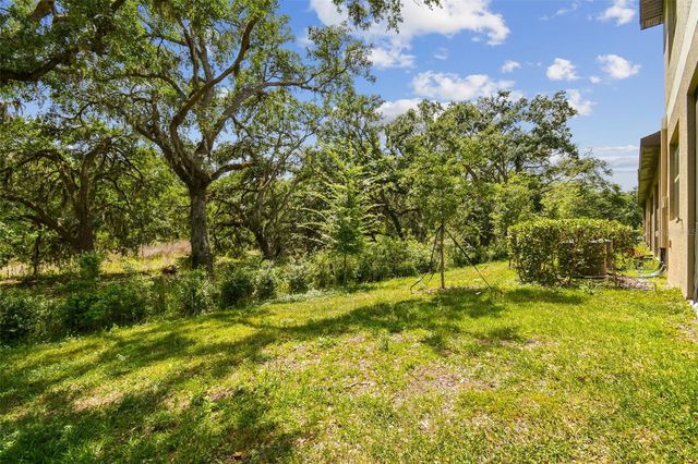 30814 VERIDIAN WAY, Wesley Chapel, FL 33545