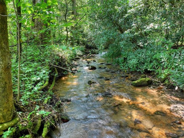 261 Frosty Mountain Trail, Ellijay, GA 30536