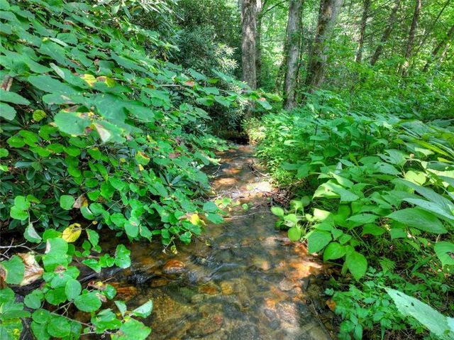 261 Frosty Mountain Trail, Ellijay, GA 30536