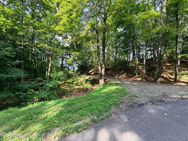 Lot 7 Mystic Ridge Way W, Topton, NC 28781