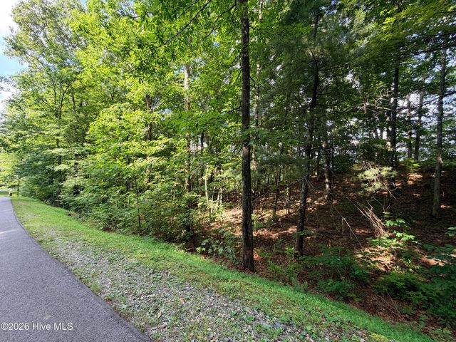 Lot 7 Mystic Ridge Way W, Topton, NC 28781