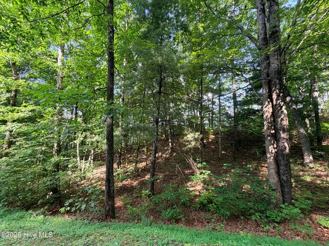 Lot 7 Mystic Ridge Way W, Topton, NC 28781
