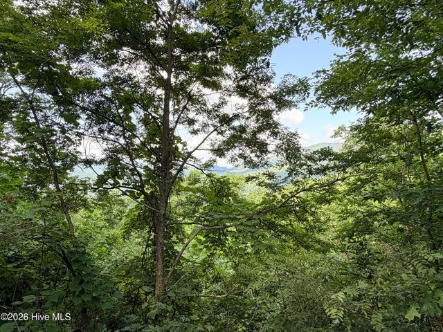 Lot 7 Mystic Ridge Way W, Topton, NC 28781